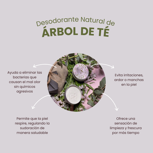 Desodorante Natural de Árbol de Té AMARTI | Sin Aluminio | Protección Antibacteriana